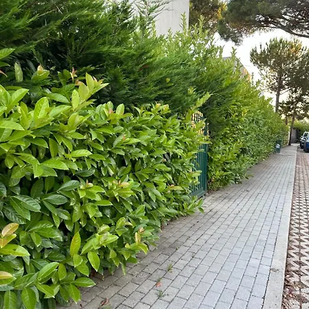 Apartmán Gjiri I Lalzit- Joy Apartments-kompleksi Lura 2 Drač