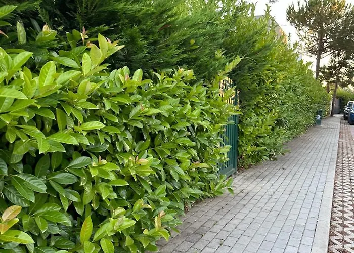 Апартаменты Gjiri I Lalzit- Joy Apartments-kompleksi Lura 2 Дуррес